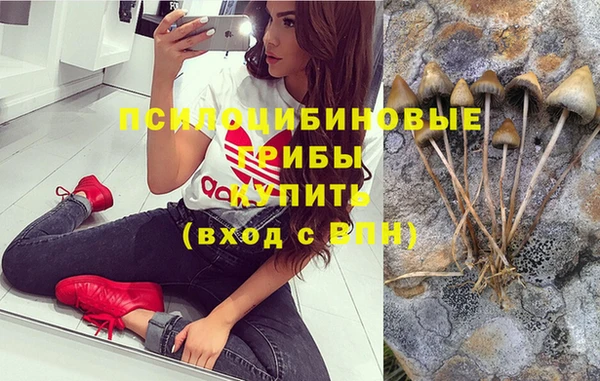 гашик Аркадак