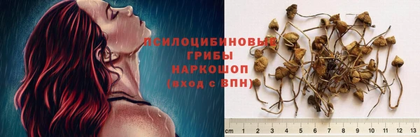гашик Аркадак